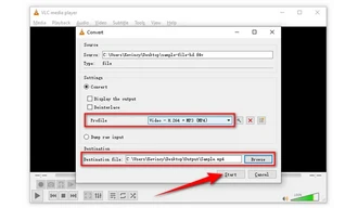 Convert F4V to MP4 with VLC