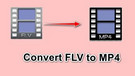Convert FLV File to MP4