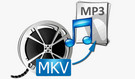 Convert MKV to MP3