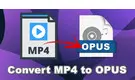 MP4 to Opus