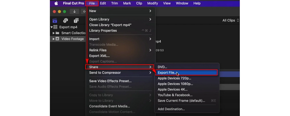 Open Export File