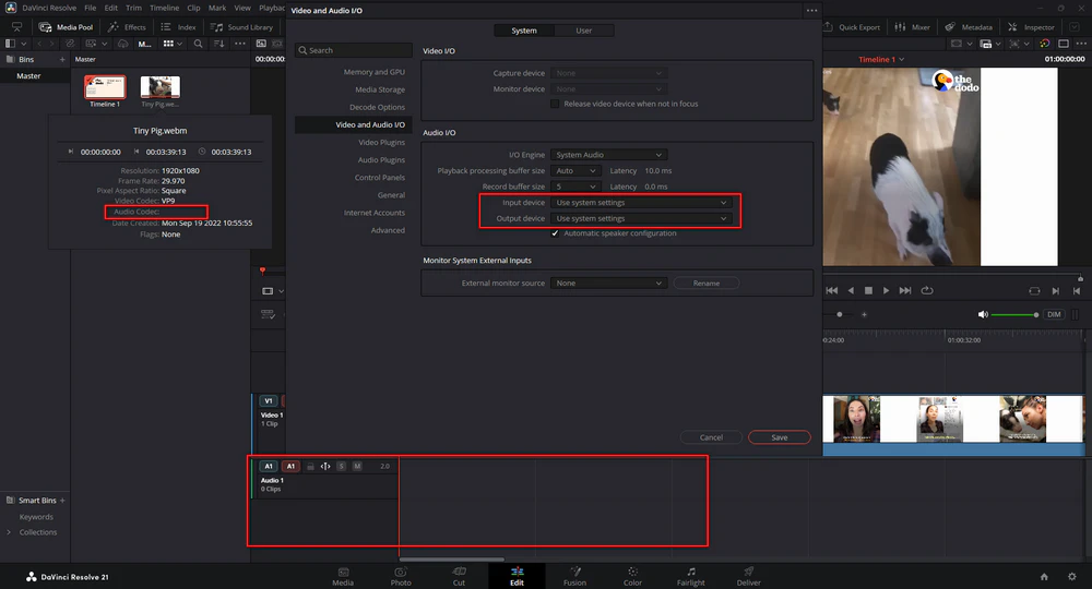 Check audio output, source channels, audio track