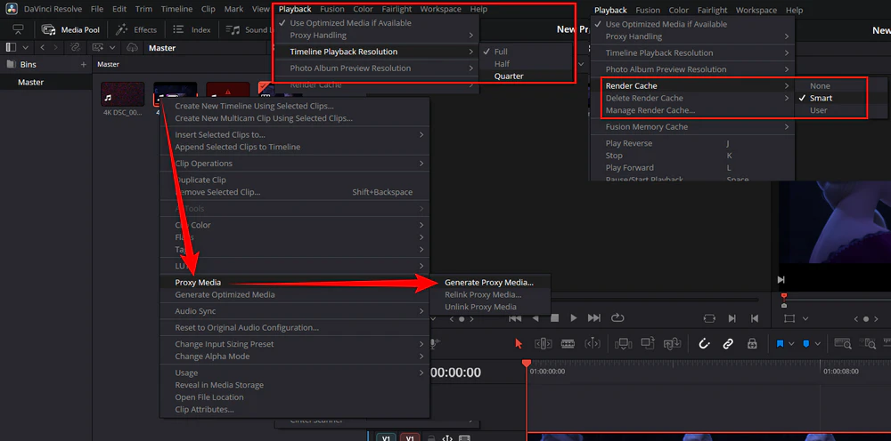 Proxy media, timeline proxy resolution, and render cache options