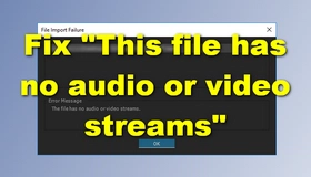 This file has no audio or video streams
