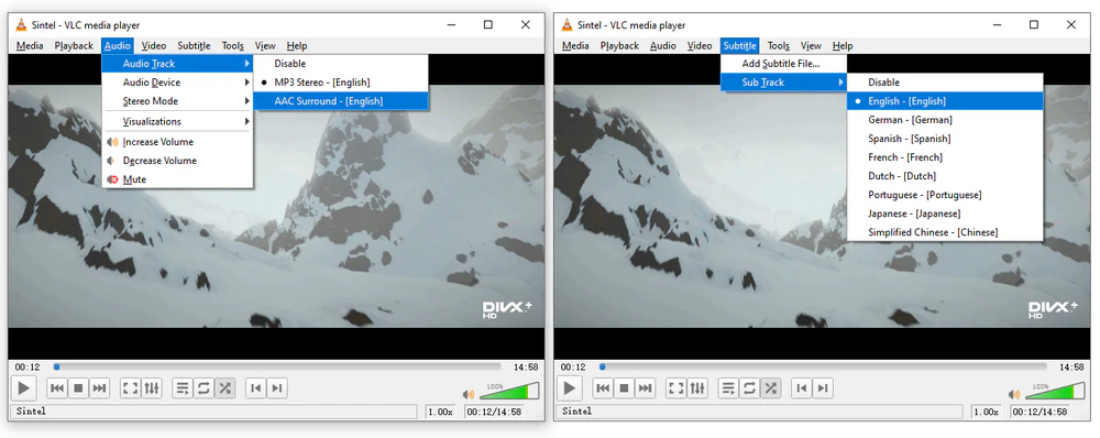 Check Audio and Subtitle Tracks