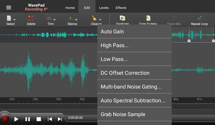 WavePad FLAC Recording Software