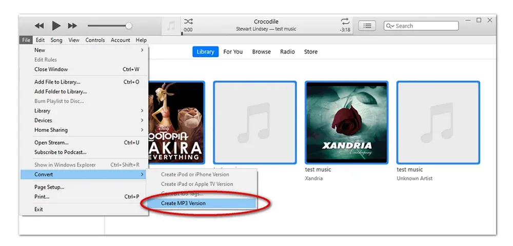 iTunes Conversion