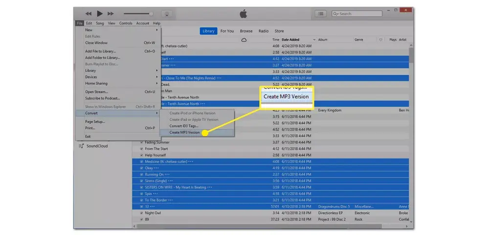 iTunes Conversion