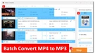 Batch Video Converter