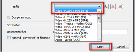Select output video and audio codecs
