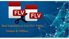 FLV Cutter