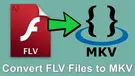 FLV to MKV