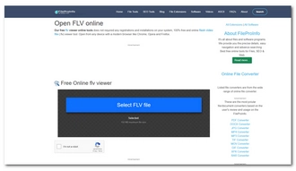 FLV Player Online