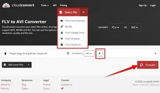 Free Convert FLV to AVI Online