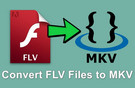 Convert FLV to MKV