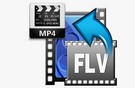 FLV to MP4 Converter