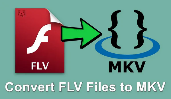 Batch FLV to MKV Converter