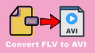 Convert FLV to AVI