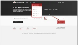 Online FLV to WAV Converter