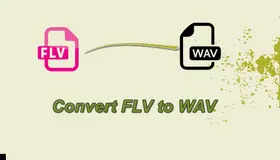 FLV to WAV