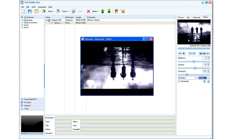 Windows Video Editor FLV