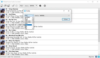 MediaHuman Audio Converter