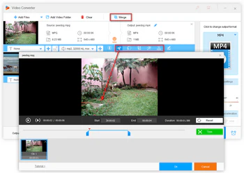 Edit the videos