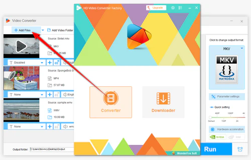 Import the Source Video or MPEG/MPG File