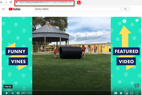 Funny Videos Download – How to Free Download Funny Videos from YouTube and  Other Funny Video Sites