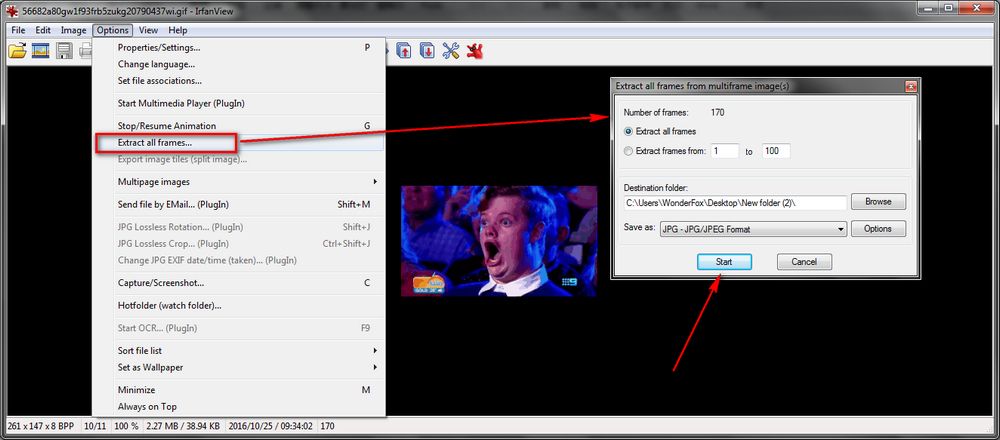 IrfanView – Extract and View Gif Frame by Frame