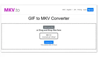GIF to MKV Converter Online