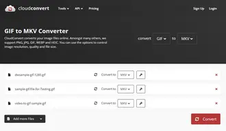Convert GIF Files to MKV Online