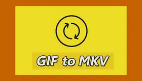 GIF to MKV