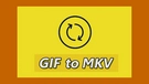 GIF to MKV