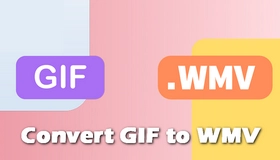 Convert GIF to WMV