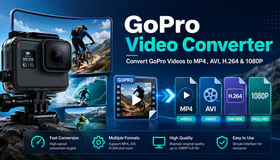 GoPro Video Converter