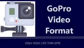 GoPro Video Format