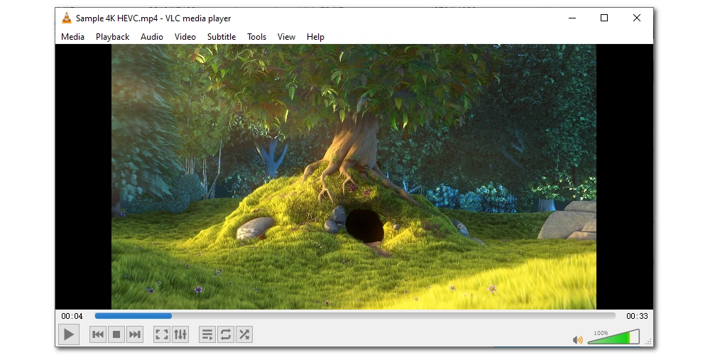 Use an HEVC Video Player