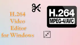 H264 Video Editor