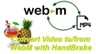 HandBrake WebM Conversion