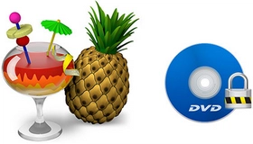 HandBrake Copy Protection Removal