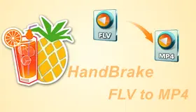 HandBrake FLV to MP4