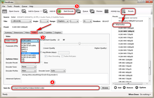 H.265 HandBrake