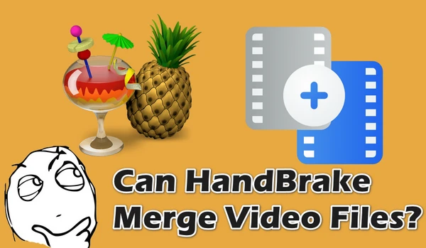 HandBrake Merge Videos