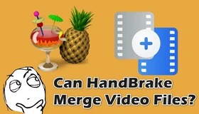 HandBrake Merge Videos
