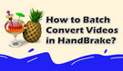 Can HandBrake Support Batch Conversion