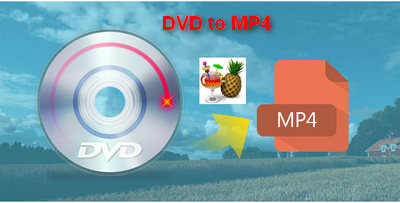 Professional DVD Video Converter