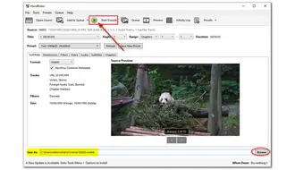 HandBrake Convert WebM to MP4