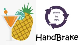 Convert WMV to MP4 with HandBrake