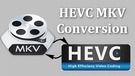 HEVC MKV